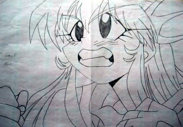 Bild 11