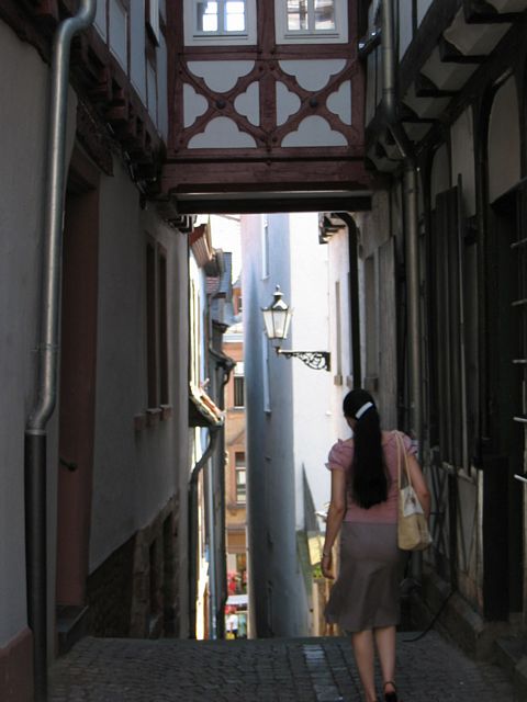 Bild 15