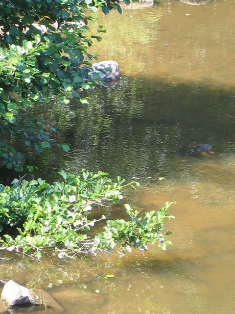 Bild 24
