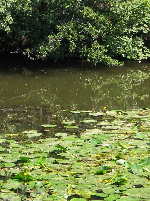 Bild 25