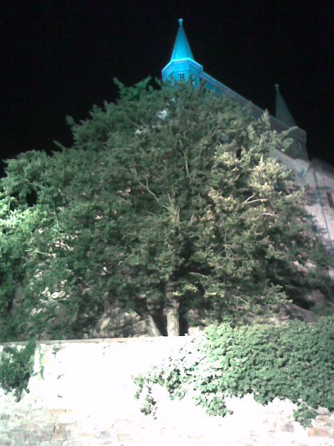 Bild 12